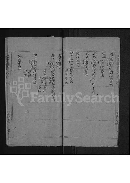 河南魏氏族谱-魏氏族谱 _ 河南省太康县 [存2卷].pdf电子版预览图3