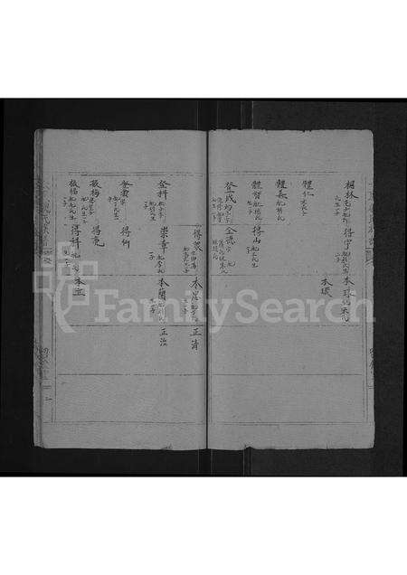 河南魏氏族谱-魏氏族谱 _ 河南省太康县 [存2卷].pdf电子版预览图3