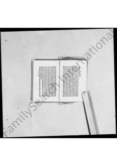 河南袁氏族谱-洹上私乘 _ 袁世凯家谱 [7卷].pdf电子版预览图3