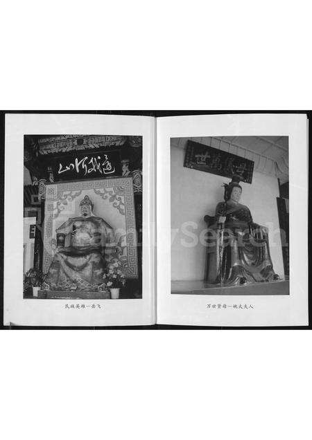 河南岳氏族谱-河南登封岳家楼岳氏宗谱.pdf电子版预览图3