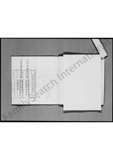 广东张氏族谱-族符流传.pdf电子版预览图3