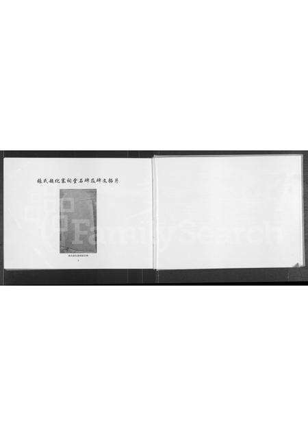 河南张氏族谱-张氏族谱.pdf电子版预览图3