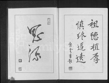 河南崔氏族谱-崔氏族谱.pdf电子版预览图3