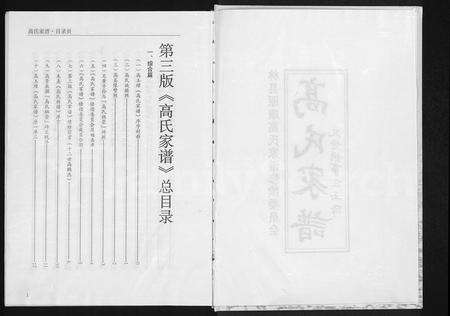 河南高氏族谱-高氏家谱.pdf电子版预览图3