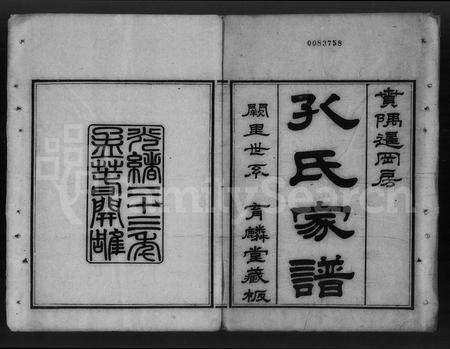 广东孔氏族谱-番禺孔氏族谱 [存卷].pdf电子版预览图3