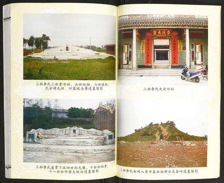 广东李氏族谱-三柏李氏水埠族谱.pdf电子版预览图3