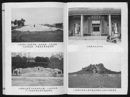 广东李氏族谱-三柏李氏水埠族谱[11卷].pdf电子版预览图3