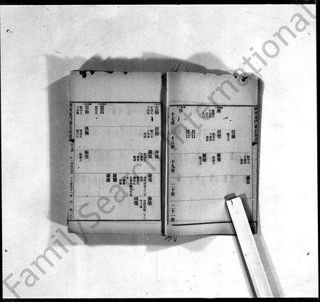 广东罗氏族谱-兴宁东门罗氏族谱 [7卷].pdf电子版预览图3