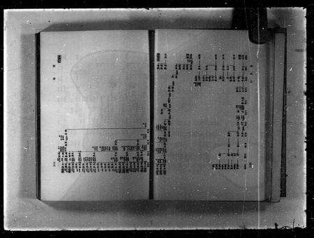 广东谭氏族谱-谭氏志.pdf电子版预览图3