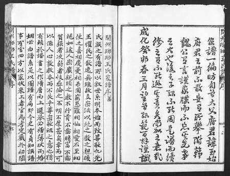 河南王氏族谱-开州琅琊王氏谱.pdf电子版预览图3