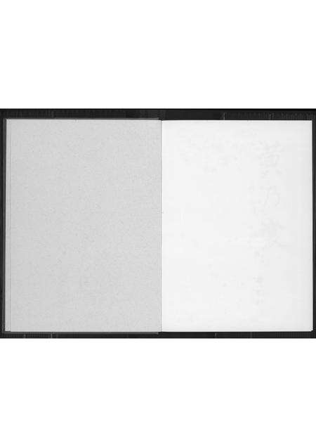 福建黄氏族谱-黄乃裳传.pdf电子版预览图3