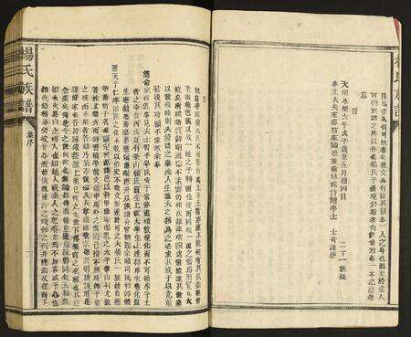 广东杨氏族谱-杨氏宗谱.pdf电子版预览图3