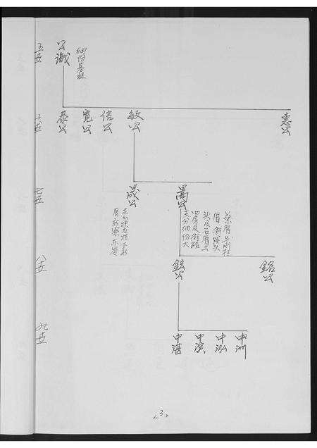福建黄氏族谱-[黄氏]同安房金柄纶公派下支分文斗安聚公[字驰复]分布支图简录.pdf电子版预览图3