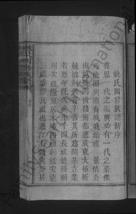 江西、广东姚氏族谱-姚氏四修族谱 [不分卷].pdf电子版预览图3