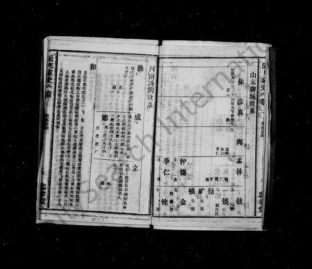 河南岳氏族谱-岳飞家史 [19卷,首1卷].pdf电子版预览图3