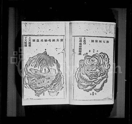 广东张氏族谱-[张氏]西溪家乘.pdf电子版预览图3