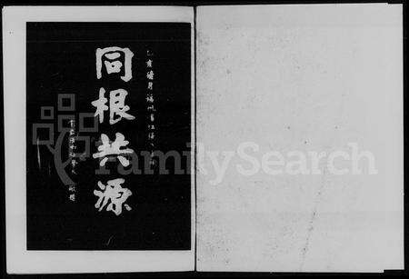 河南张氏族谱-巩义东街张氏谱谍.pdf电子版预览图3