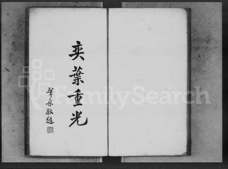 广东陈氏族谱-陈氏族谱.pdf电子版预览图3