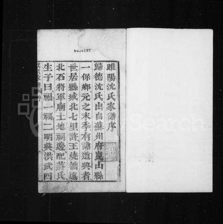 河南沈氏族谱-睢阳沈氏家谱.pdf电子版预览图3