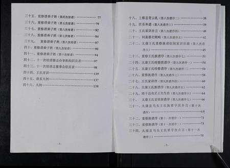 河南王氏族谱-太康马头王氏族谱 [不标卷数].pdf电子版预览图3