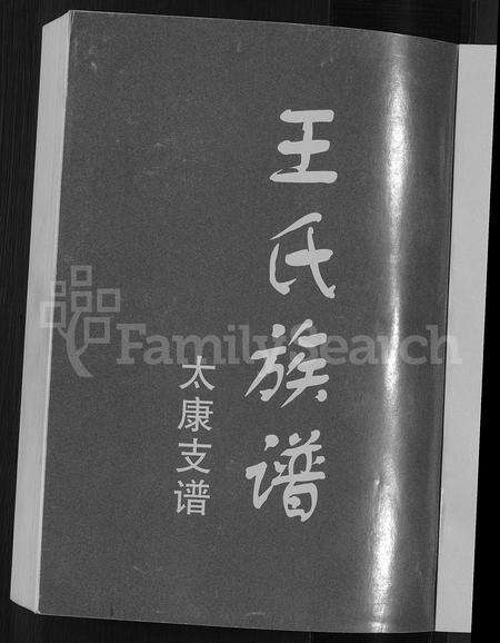 河南王氏族谱-王氏族谱 _ 太康支谱 [不分卷].pdf电子版预览图3