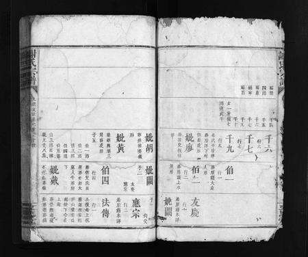 江西、广东谢氏族谱-谢氏宗谱 [不分卷].pdf电子版预览图3