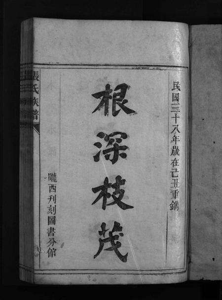 广东张氏族谱-张氏族谱 [不分卷].pdf电子版预览图3