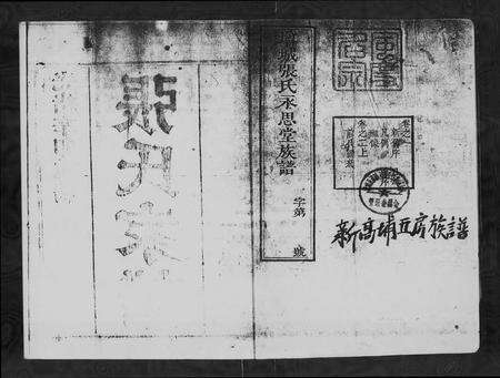 广东张氏族谱-增城张氏永思堂族谱 [17卷].pdf电子版预览图3