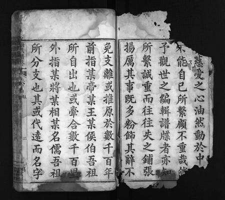 河南张氏族谱-张氏谱畧 [16卷,首末各1卷].pdf电子版预览图3