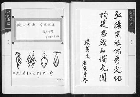 河南张氏族谱-张氏家谱 _ 河南偃师西小寨百忍堂.pdf电子版预览图3