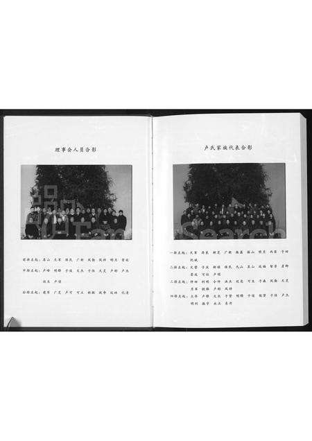 河南卢氏族谱-沈丘卢氏族谱 _ 沙北分支.pdf电子版预览图3