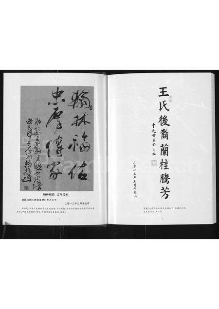 河南王氏族谱-马圈王谱 _ 荥阳高山王氏支系.pdf电子版预览图3