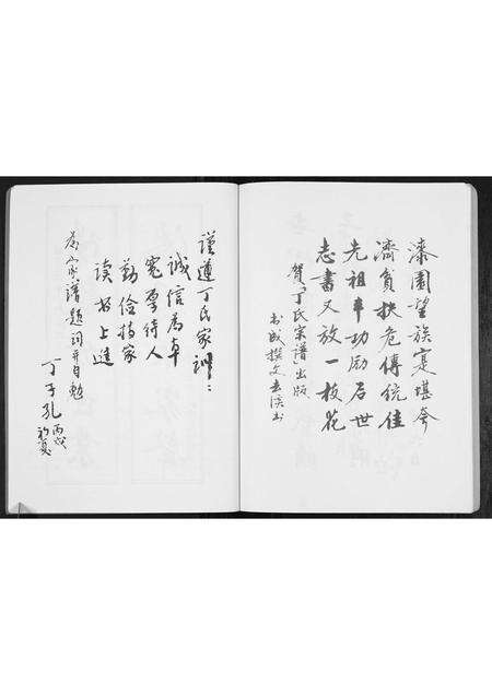 安徽丁氏族谱-丁氏宗谱[不分卷].pdf电子版预览图3