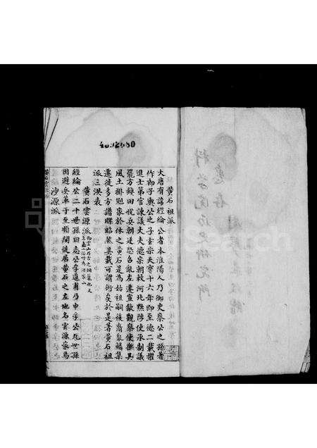 安徽洪氏族谱-洪氏系谱.pdf电子版预览图3