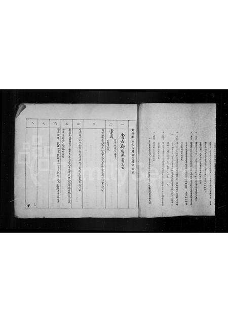 安徽金氏族谱-瓯山金氏迁庐支谱表.pdf电子版预览图3