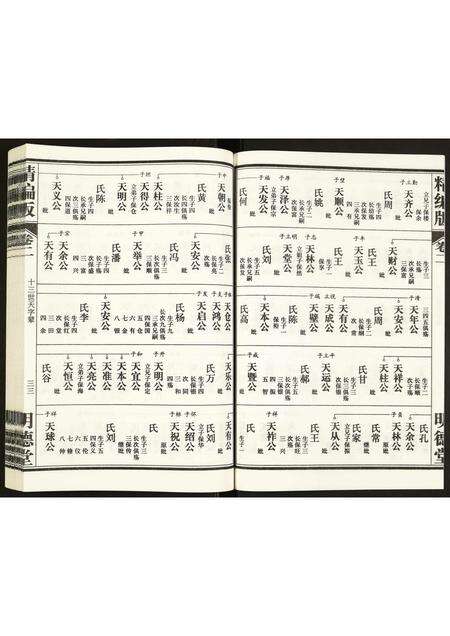 安徽康氏族谱-康氏族谱.pdf电子版预览图3