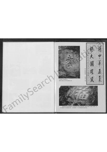 福建陈氏族谱-厦门陈氏 [不分卷].pdf电子版预览图3