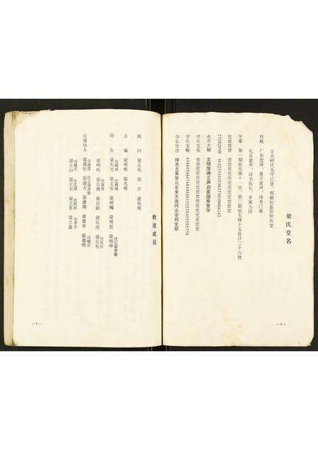 安徽梁氏族谱-梁氏家谱.pdf电子版预览图3