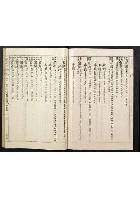 安徽罗氏族谱-罗氏家志.pdf电子版预览图3