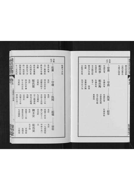 安徽裴氏族谱-裴氏宗谱[6卷].pdf电子版预览图3