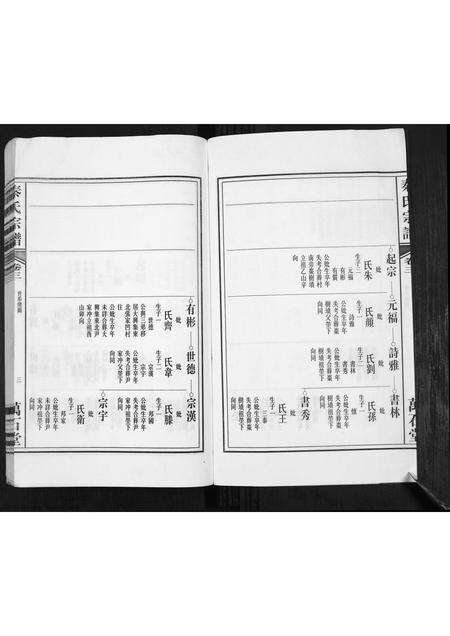 安徽秦氏族谱-秦氏宗谱.pdf电子版预览图3