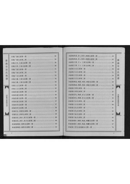 安徽田氏族谱-淮南市田集田家拐田氏族谱.pdf电子版预览图3