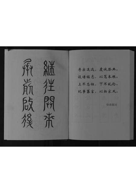 安徽王氏族谱-王氏家谱[不分卷].pdf电子版预览图3