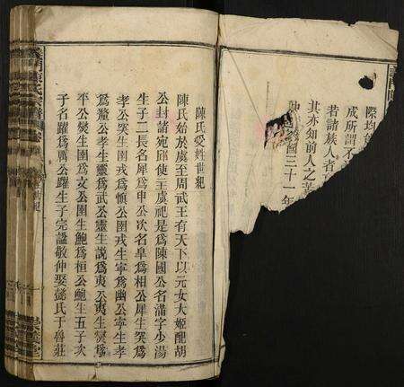 安徽陈氏族谱-义门陈氏宗谱.pdf电子版预览图3