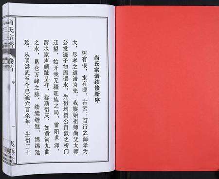 安徽尚氏族谱-尚氏宗谱[6卷首1卷].pdf电子版预览图3