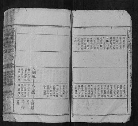 安徽石氏族谱-石氏宗谱[10卷].pdf电子版预览图3