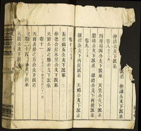 安徽汪氏族谱-汪氏宗谱.pdf电子版预览图3