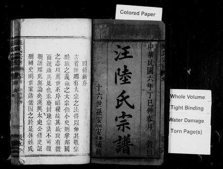 安徽汪氏陆氏汪陆氏族谱-汪陆氏宗谱 [21卷,首2卷].pdf电子版预览图3