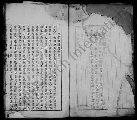 安徽王氏族谱-武口王氏统宗世谱 [卷数杂异].pdf电子版预览图3