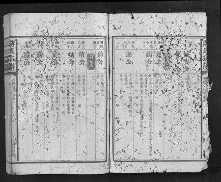 福建蒋氏族谱-蒋氏宗谱.pdf电子版预览图3